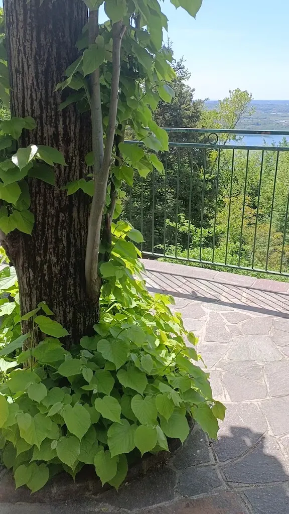 Matteo Lucchini_Ristorante “La Madonnina”_Brongio_review