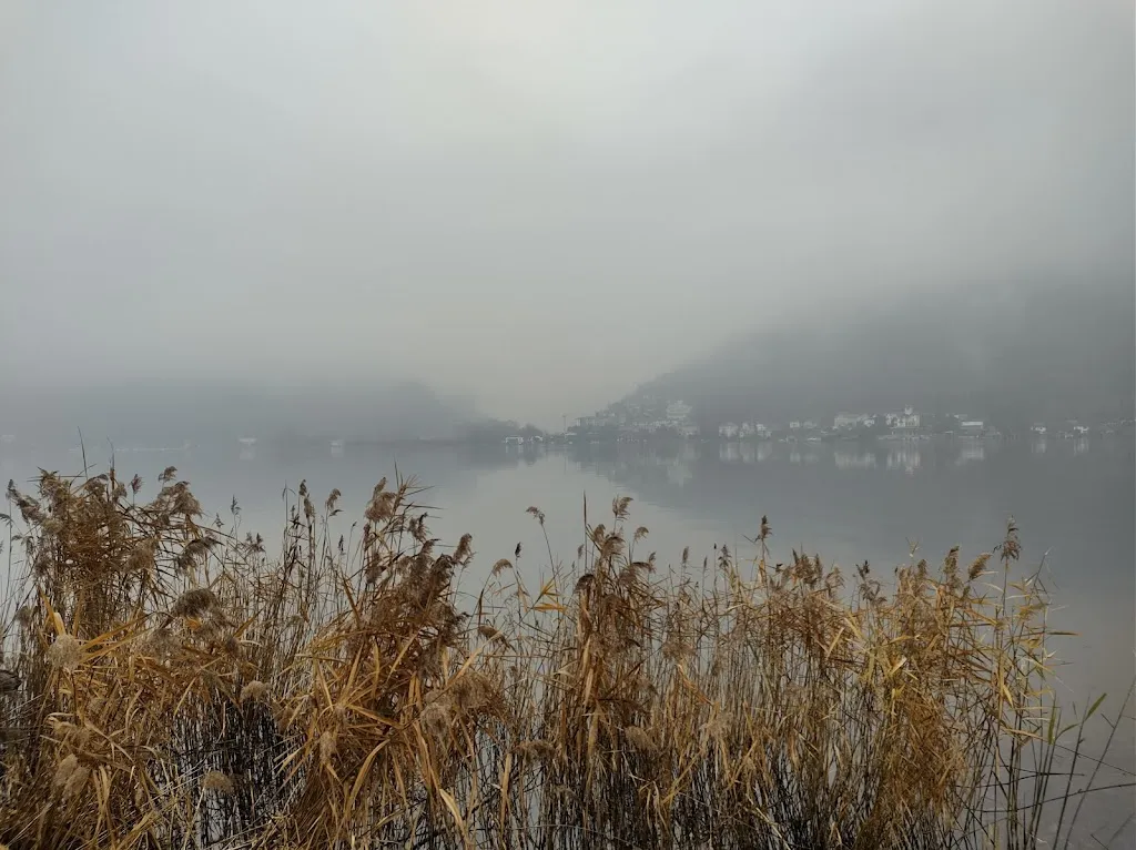 Shivraj Banerjee_il Lido di Brusimpiano_Brusimpiano_review