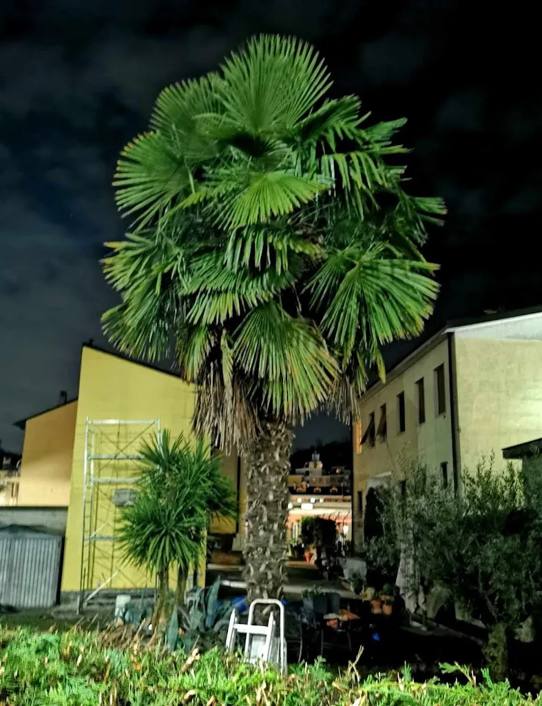 La Locanda - Ristorante Pizzeria_Broni_slider_image_3