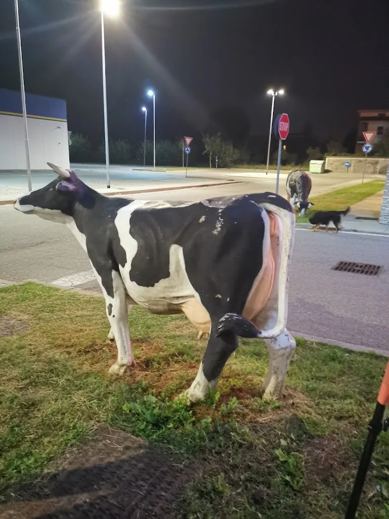 Marco S _ROADHOUSE RESTAURANT BRONI_Broni_review