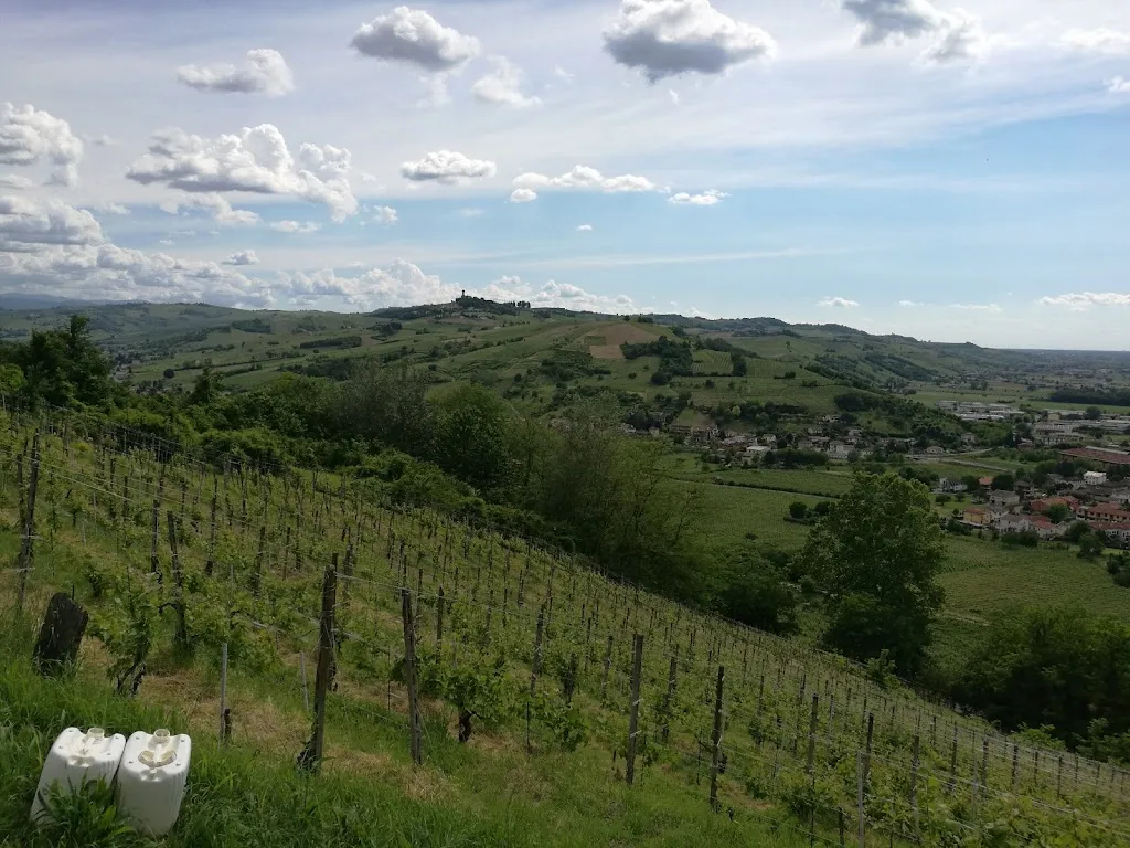 Gelateria Pasticceria Artica_Broni_slider_image_3