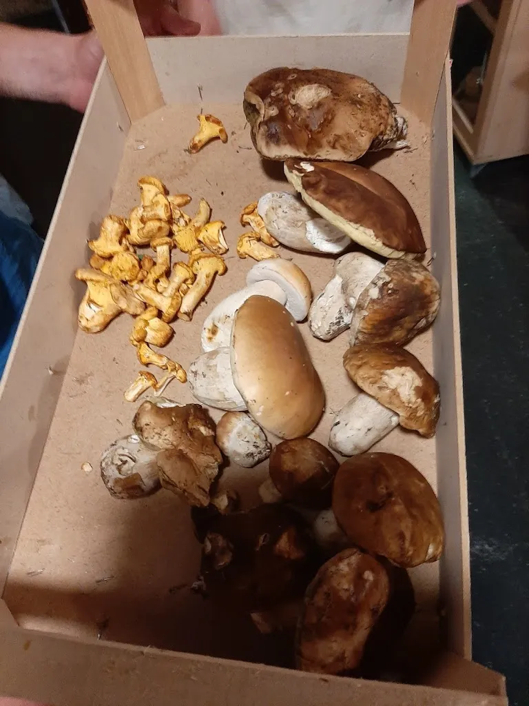 Menu_Trattoria San Fedele_Buglio in Monte_immagine_8