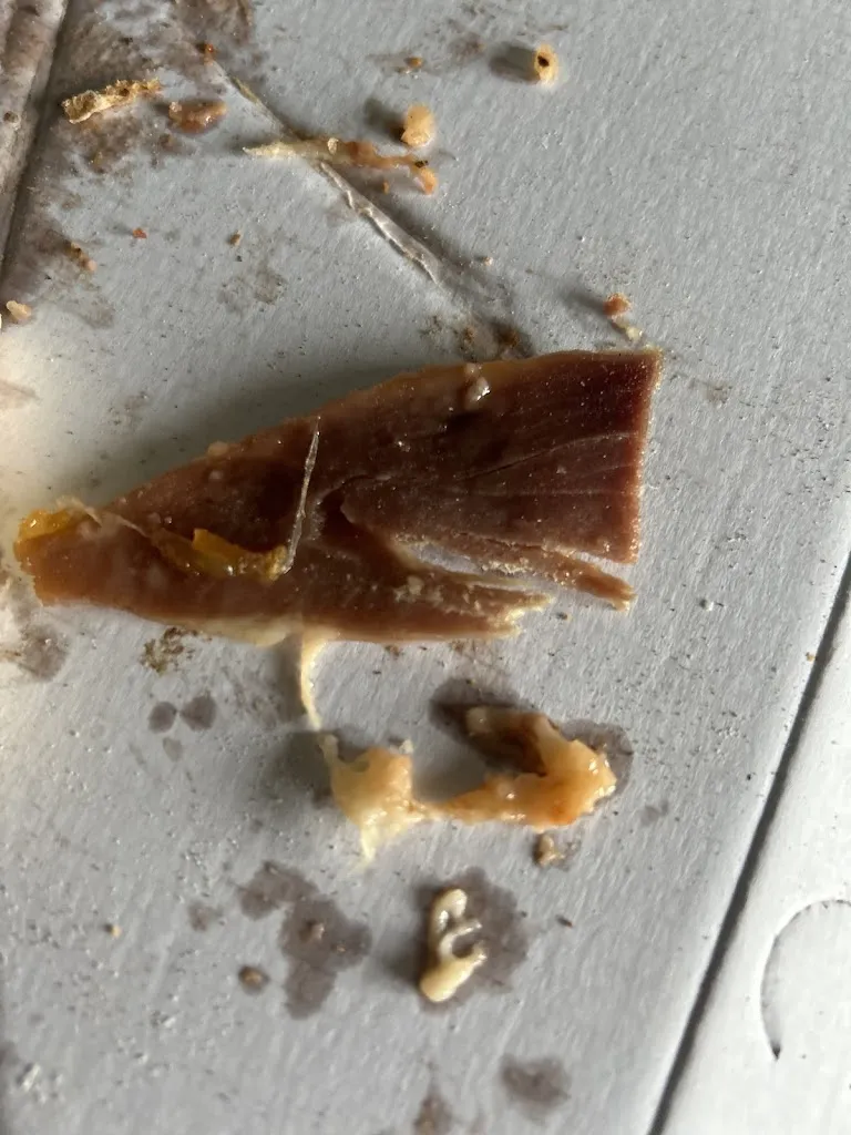 Menu_Il Nilo_Bulciago_image_4