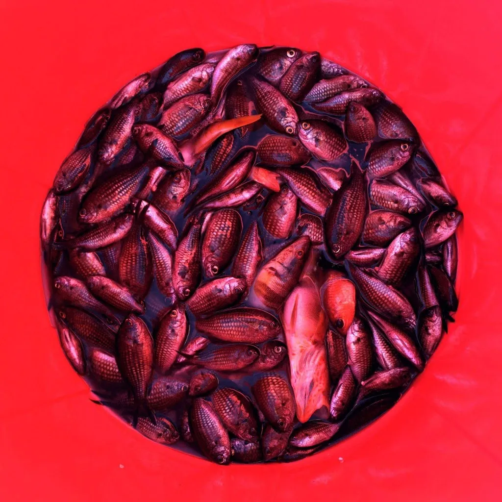 Menu_Caffè Trattoria Da Eleonora_Alessano_image_2