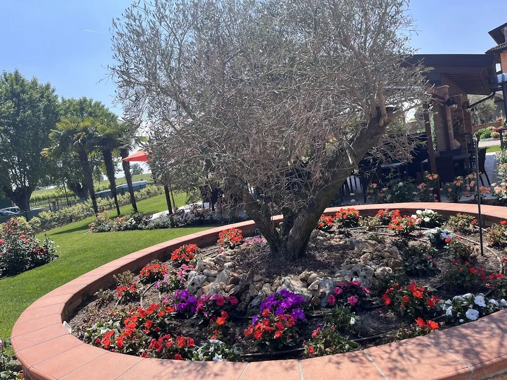 Pasquale_Ristorante Alla Coccia Volante_Buscoldo_review