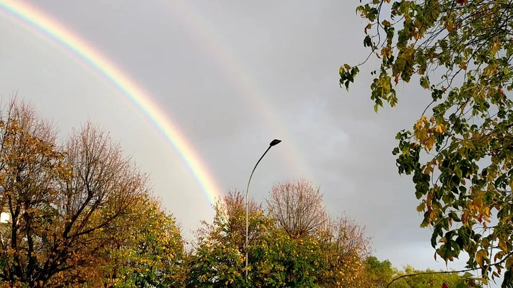 Pizzeria Papillon_Bussero_slider_image_2