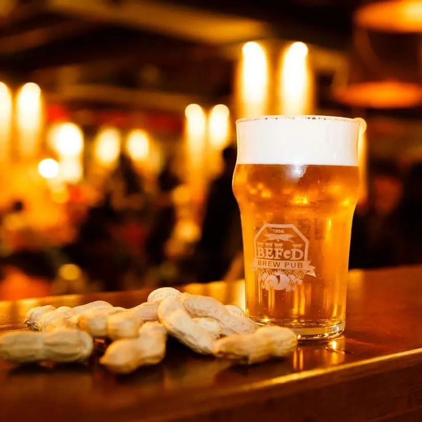 Menu_BEFED_Busnago_image_6