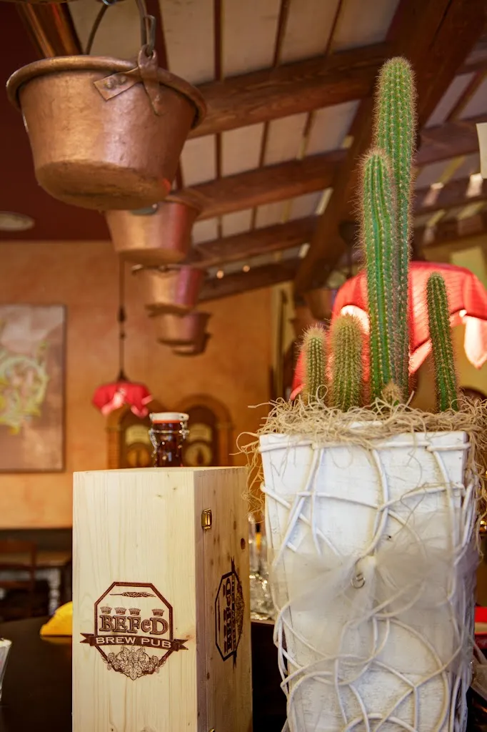 Menu_BEFED_Busnago_image_7