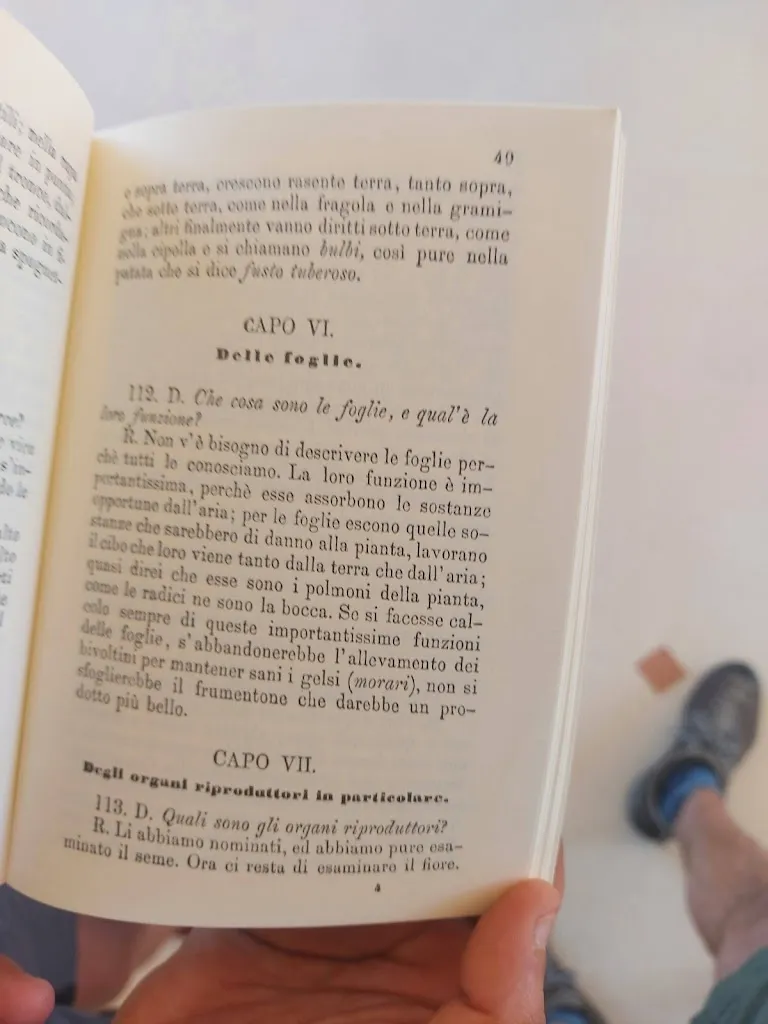 Menu_Masseria Galatea_Alessano_image_2