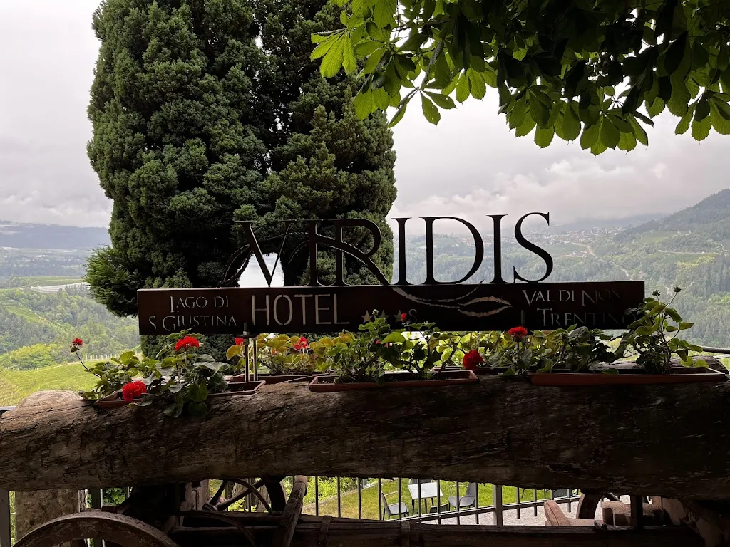 SUSAN RIZZI_Hotel Ristorante Gelateria Viridis_Cagno_review