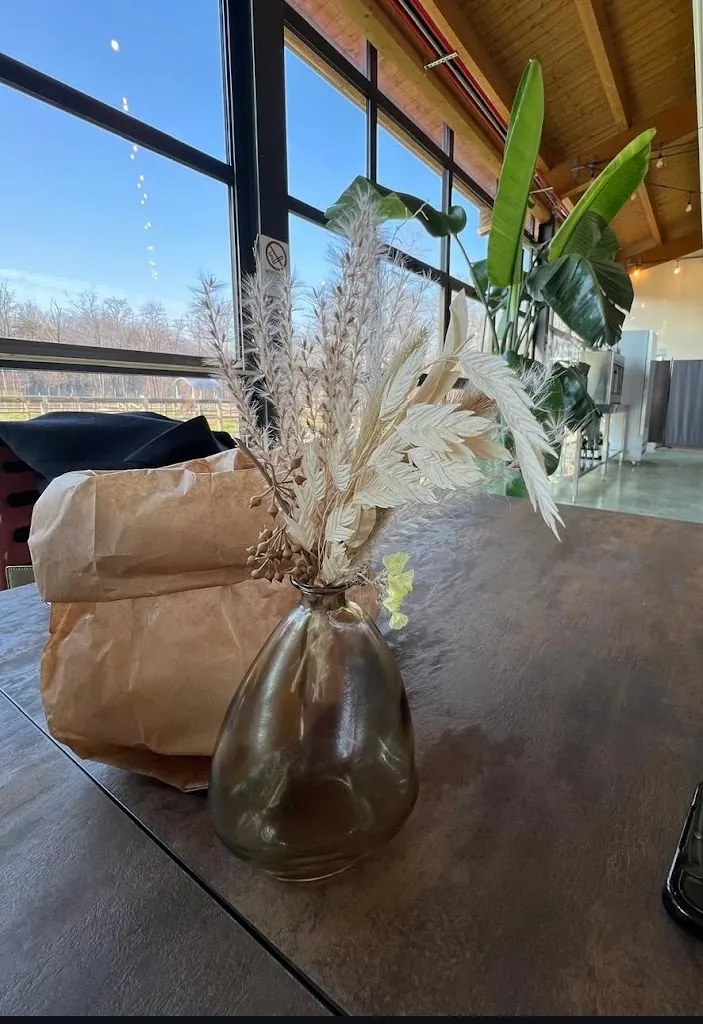 Alessia Moro_Brugola e Pachino - Oasi Bistrot_Cabiate_recensione