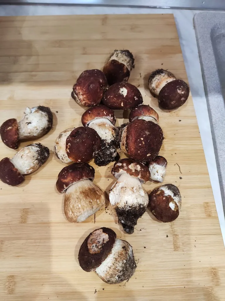 Menu_Pizzeria D'asporto La Luna_Calcinato_image_7