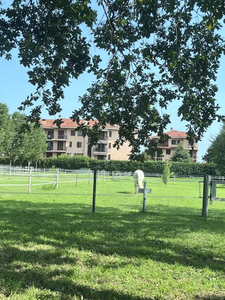 Ileana N M_Grangia_Caleppio_review