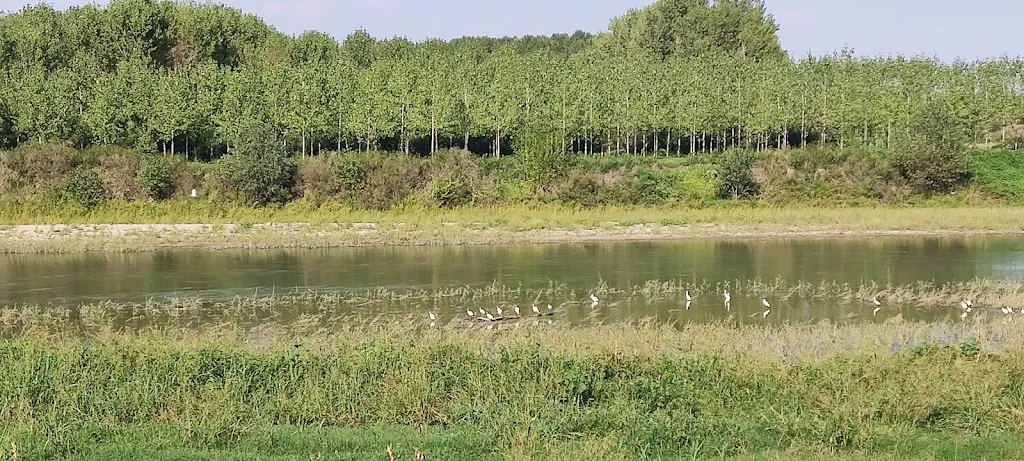 La Zanzarina d'Oro_Calvatone_slider_image_3