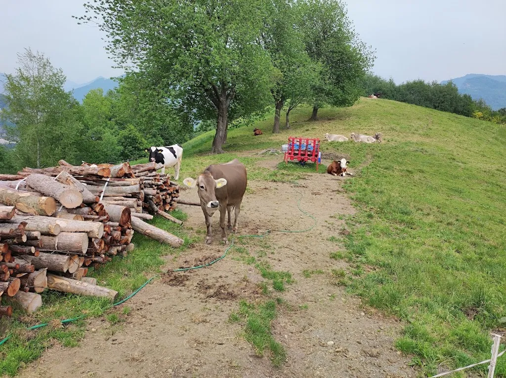Ferdinando Rombolà_Le More - Agriturismo_Camerata Cornello_review