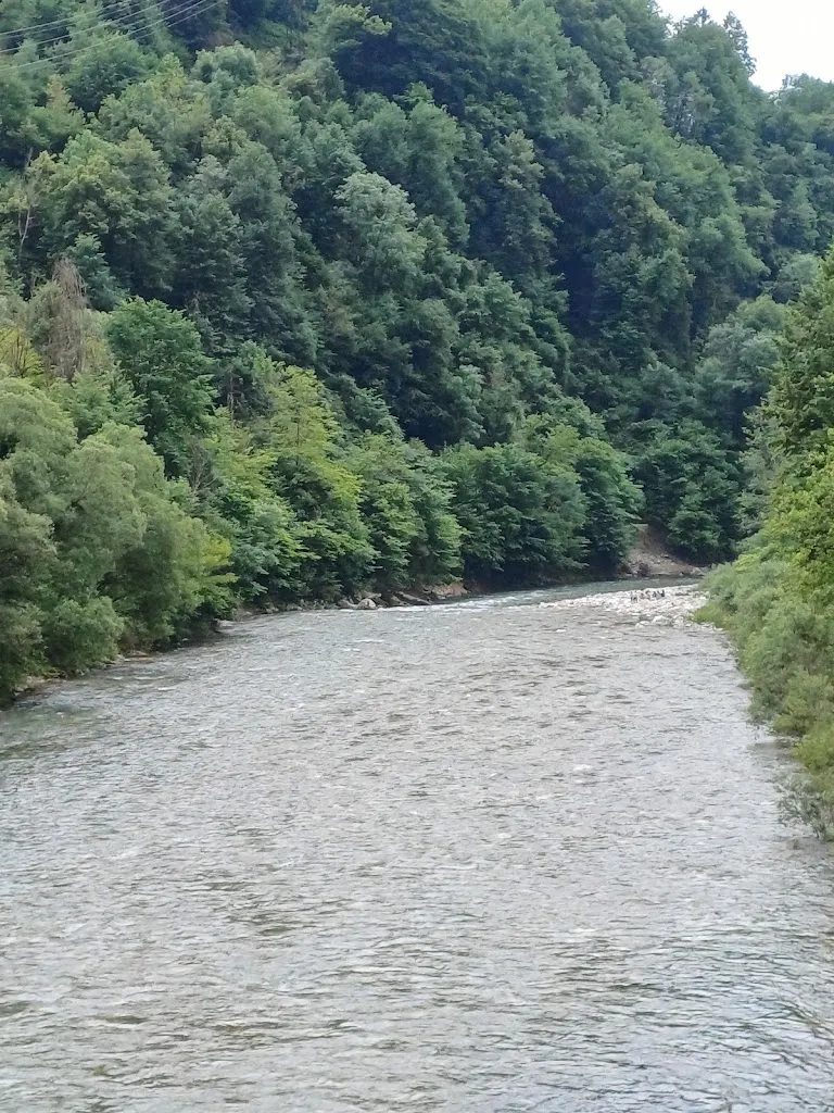 Fabio Freti_Bar Miniere di Tassi Maria Rosa_Camerata Cornello_review