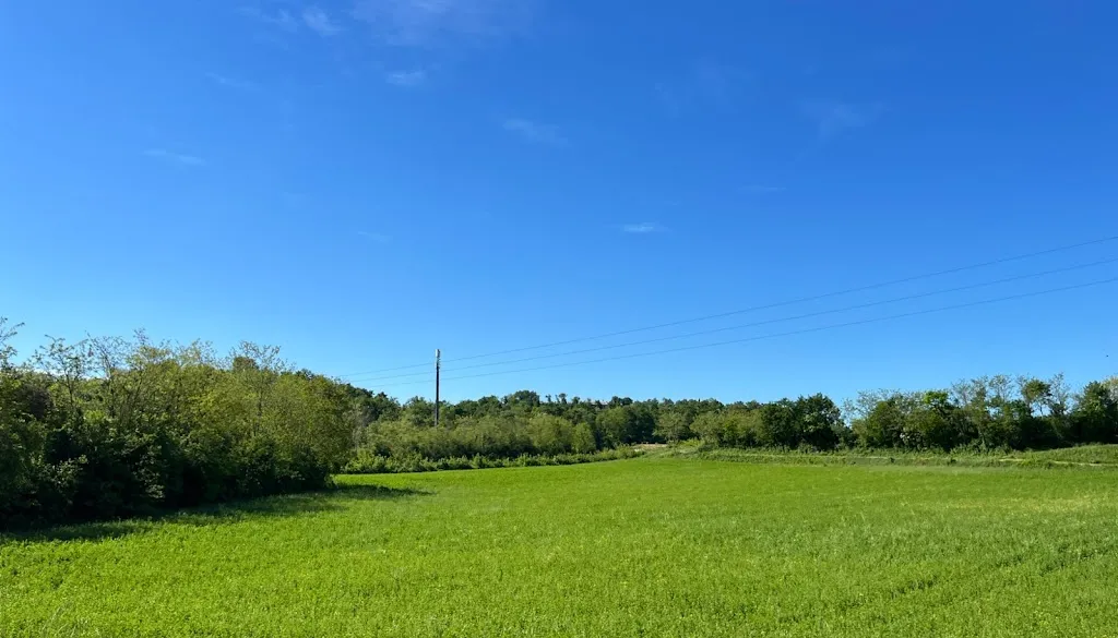 Itay Yer_Agriturismo Sangallo_Calvagese della Riviera_review