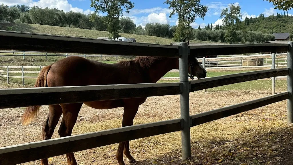 April Tai_Pietra Cavalla_Calvagese della Riviera_review