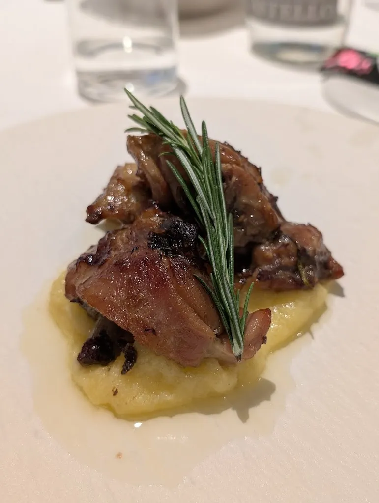 Tienyu Sieh_Al Gambero_Calvisano_review