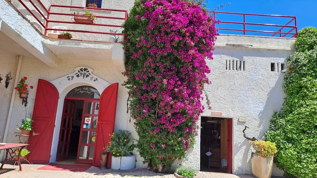 Pier Delle Vigne B&B Cucina Pizzeria Catering restaurant in Borgo Santa Maria Immacolata