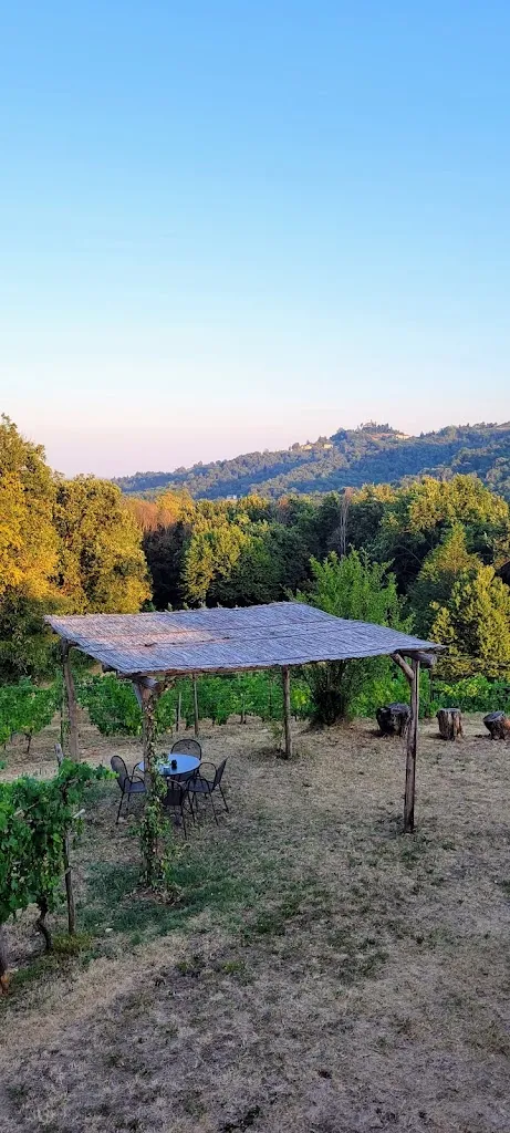 Maria van Veldhuizen_Agriturismo La Costa - Ristorante e Cantina - Cascina Galbusera Nera_Campofiorenzo-California_recensione