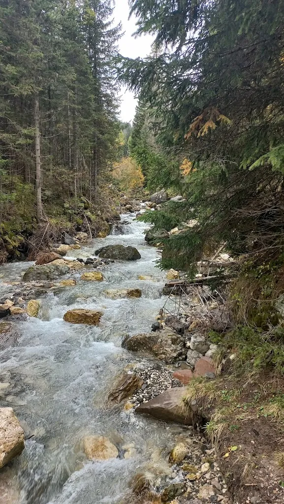 Dino B_Baita Lino Brach_Campitello_review