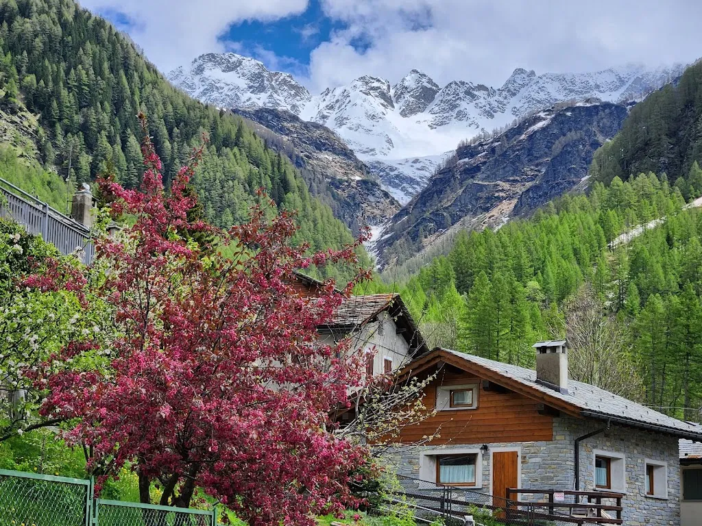 Wendy Zielen_Albergo Ristorante Stella Alpina_Campodolcino_review