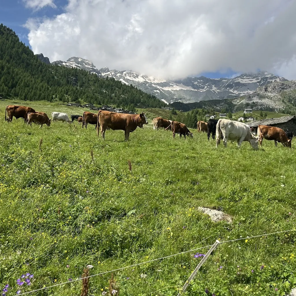 Agriturismo Pizzo Quadro_Campodolcino_slider_image_3