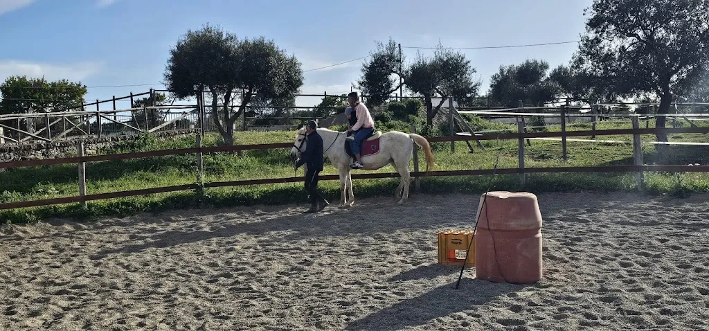 Vito Tomasicchio_La Ngegne_Acquaviva delle Fonti_review