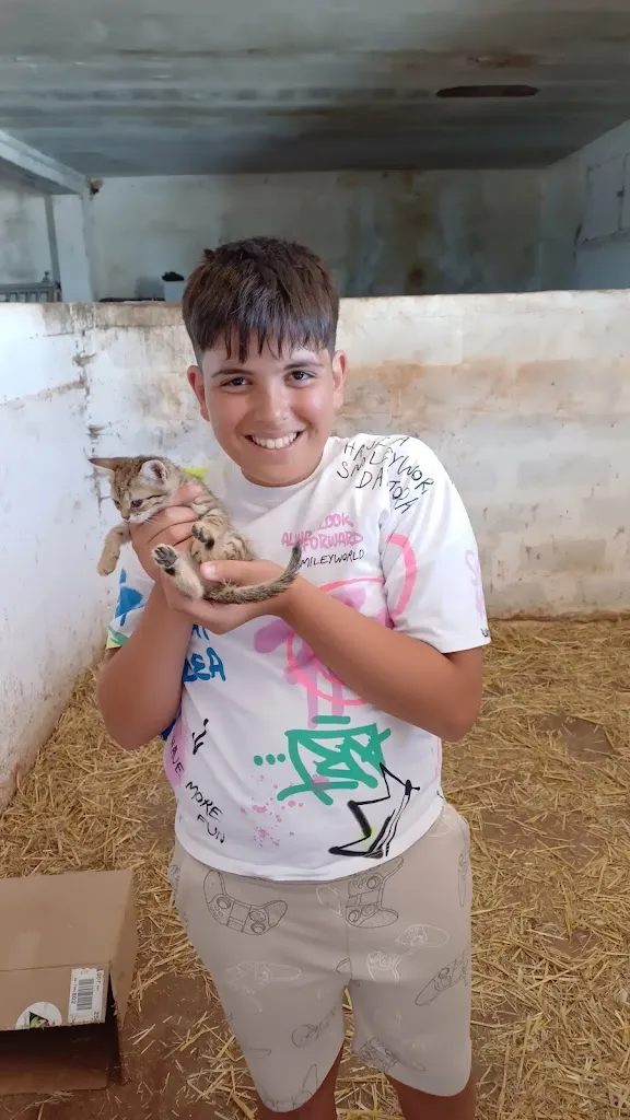 Stefano Tartanone_La Ngegne_Acquaviva delle Fonti_review