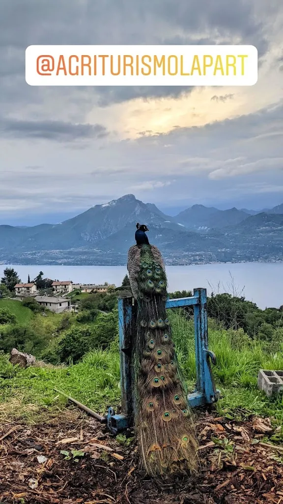 Agriturismo La Part Di Castellani Bortolo(aperto su prenotazione le sere e su prenotazione venerdi,sabato,domenica a pranzo) restaurant in Canova-San Zeno