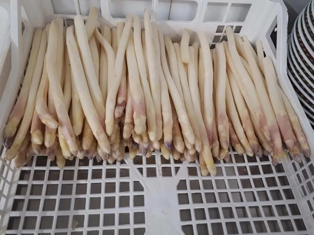 Menu_Osteria Galli_Cantello_image_5