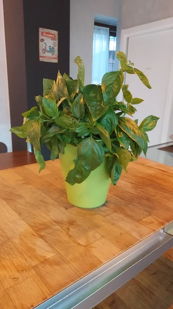 Sal&Rosa_Cantello_slider_image_3