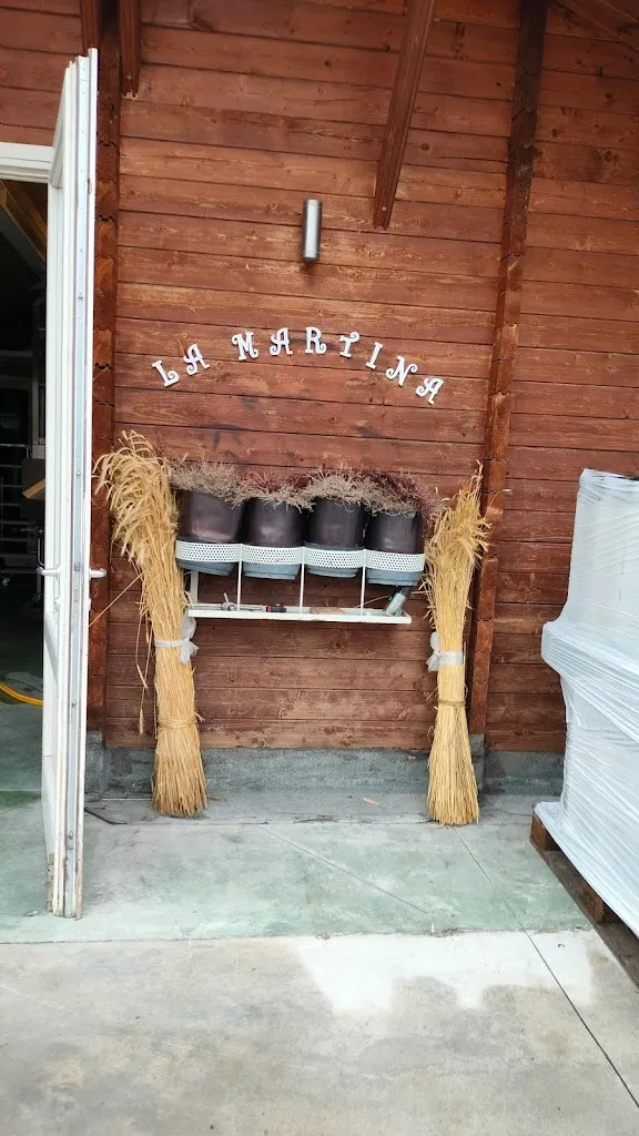 Marina Messa_Birrificio La Martina_Capo di Ponte_review