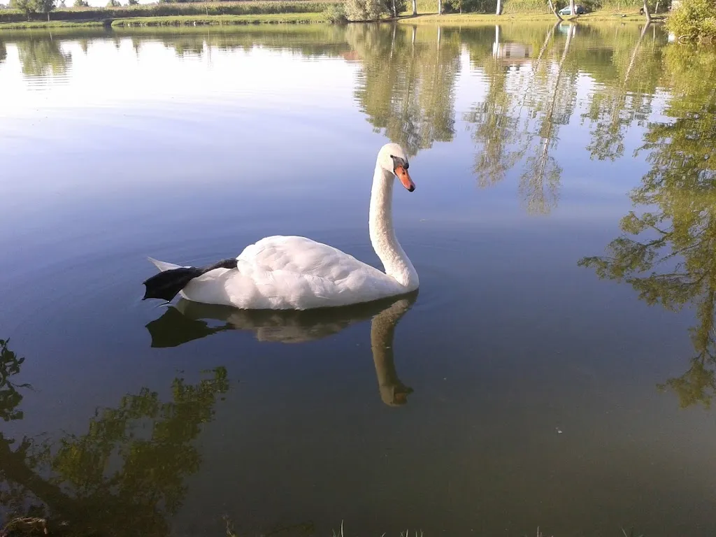 Taverna Paradiso_Cappella Cantone_slider_image_3