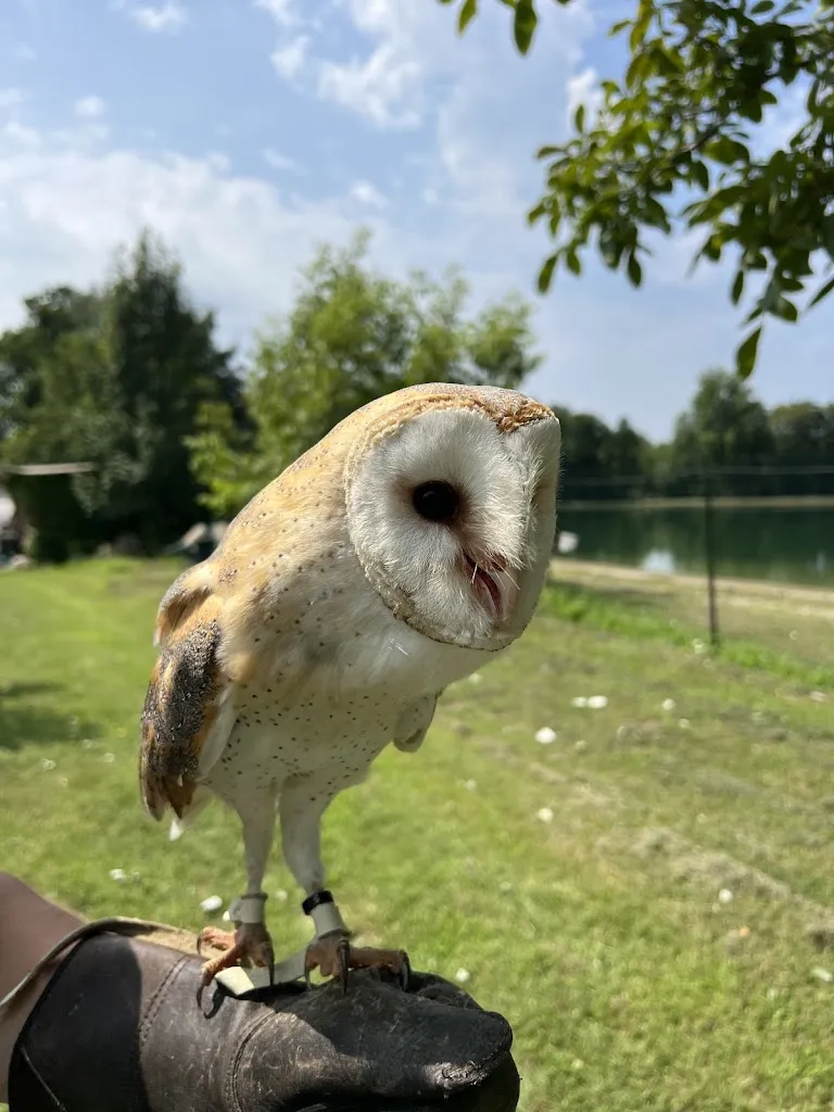 Chiara Prosperuzzi_I Falconieri del Feudo_Canzo_review