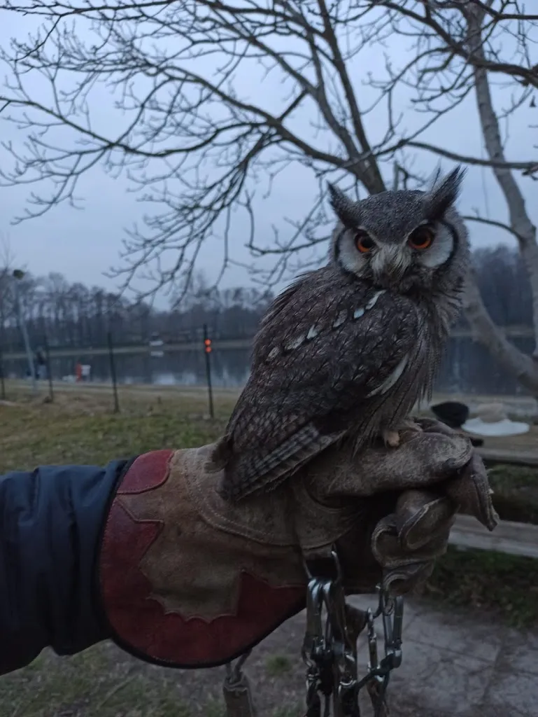 mafalda bigatti_I Falconieri del Feudo_Canzo_review
