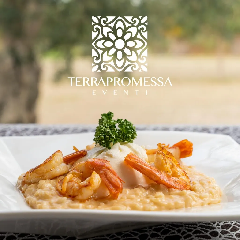 Terra Promessa_Acquaviva delle Fonti_slider_image_3