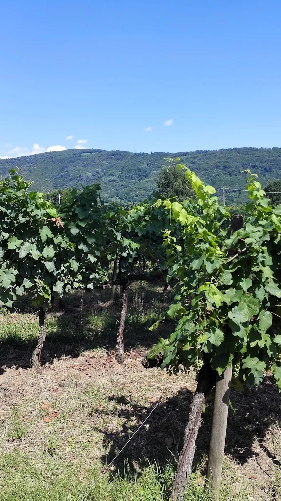 Corrj 1969_Corte Lantieri Ristorante Agriturismo_Capriolo_review