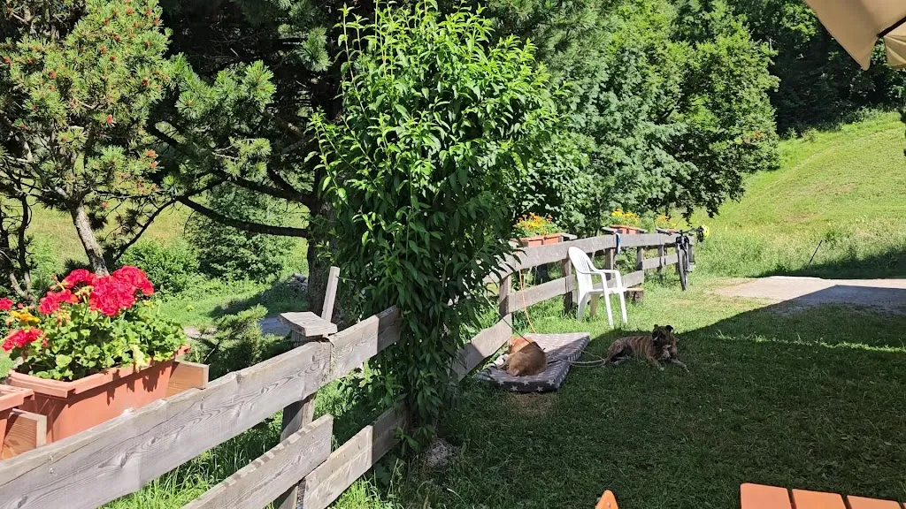 Bar Ristorante al Capriolo_Capriolo_slider_image_2