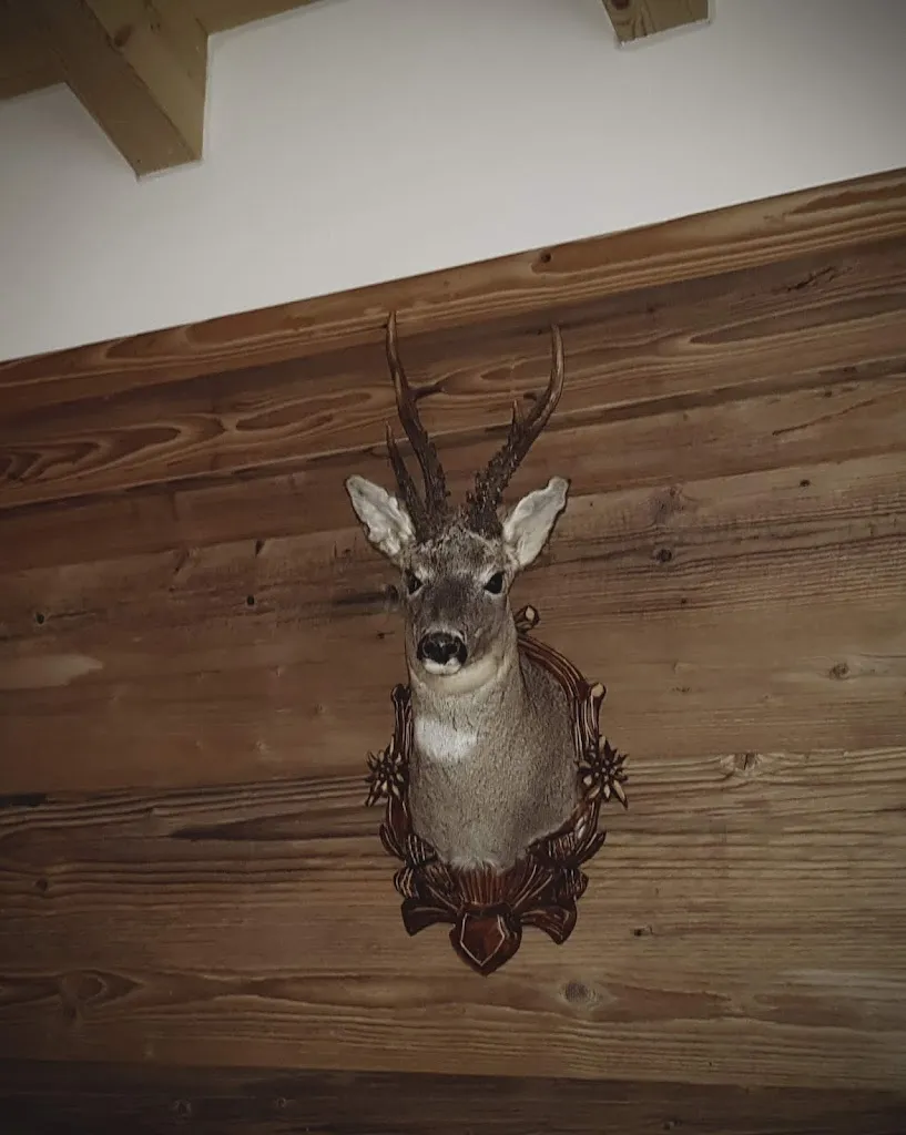 Nadav animation ,vfx_Ristorante & Pizzeria al Capriolo Tovel_Capriolo_recensione