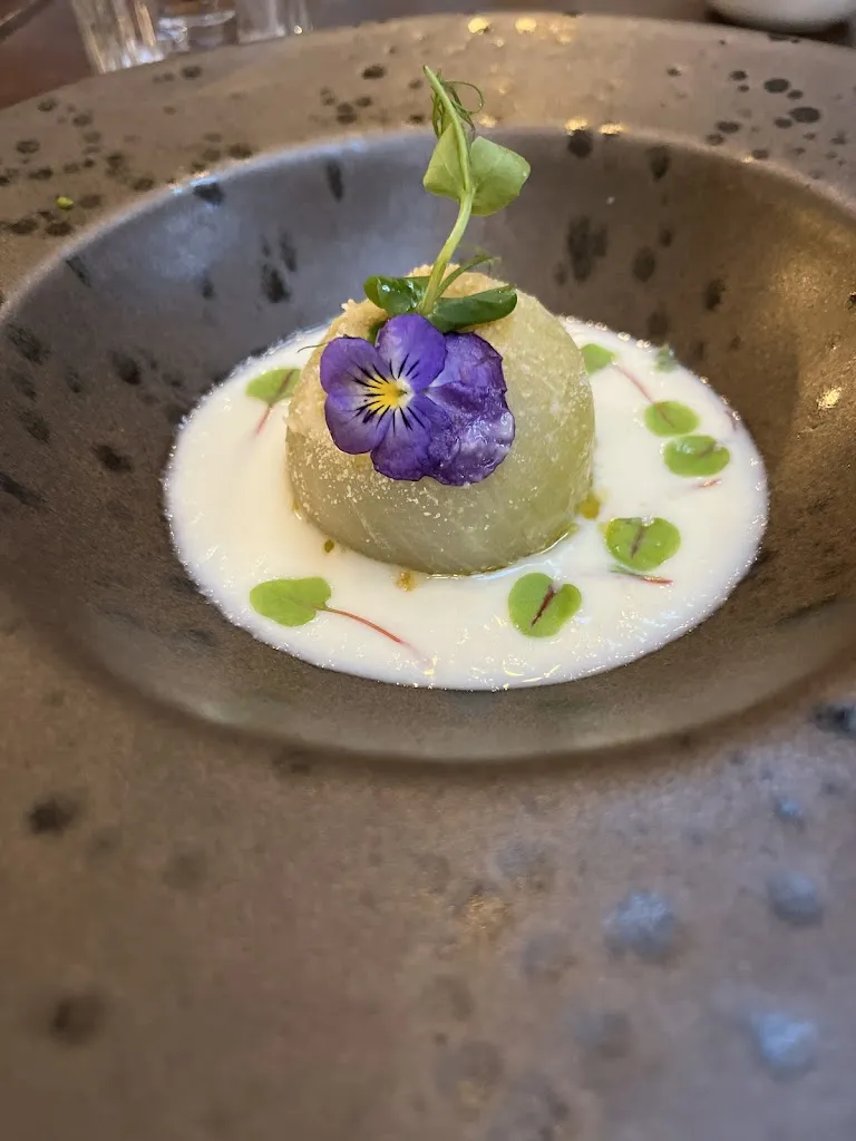 Julia Sofie Pleym_Degustibus_Cardano al Campo_review