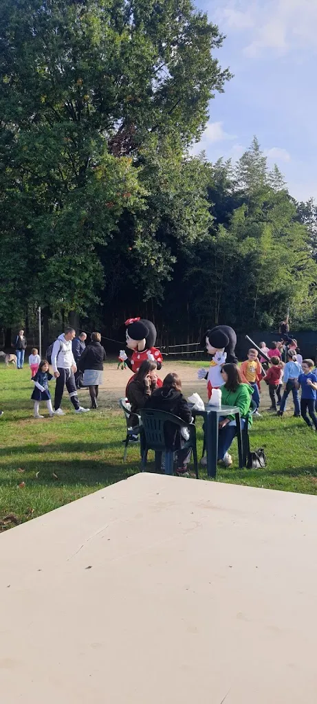 Salvatore Mignacca_Area Feste_Cardano al Campo_review