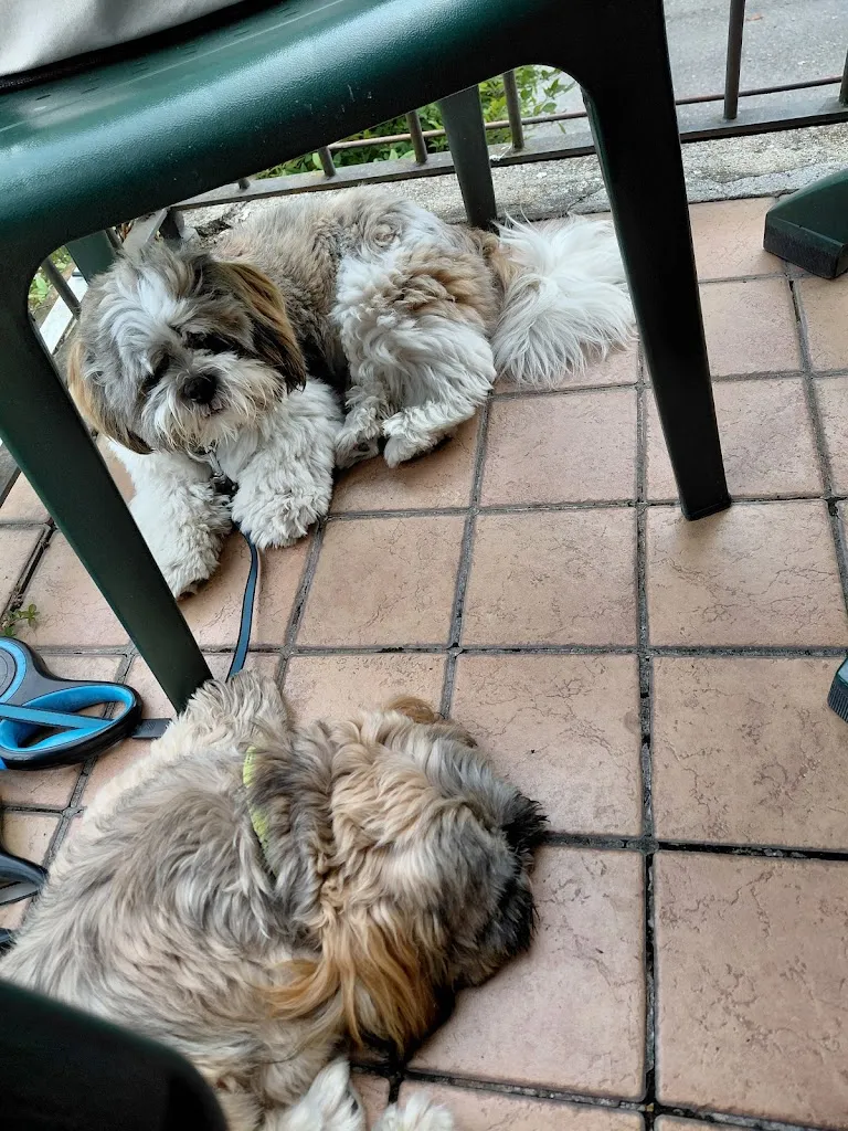 Angie Demarzo_GOLDEN LAKE da Nino_Carlazzo_review