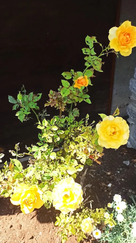 stefano soldi_Crotto Da Gusto_Carlazzo_review