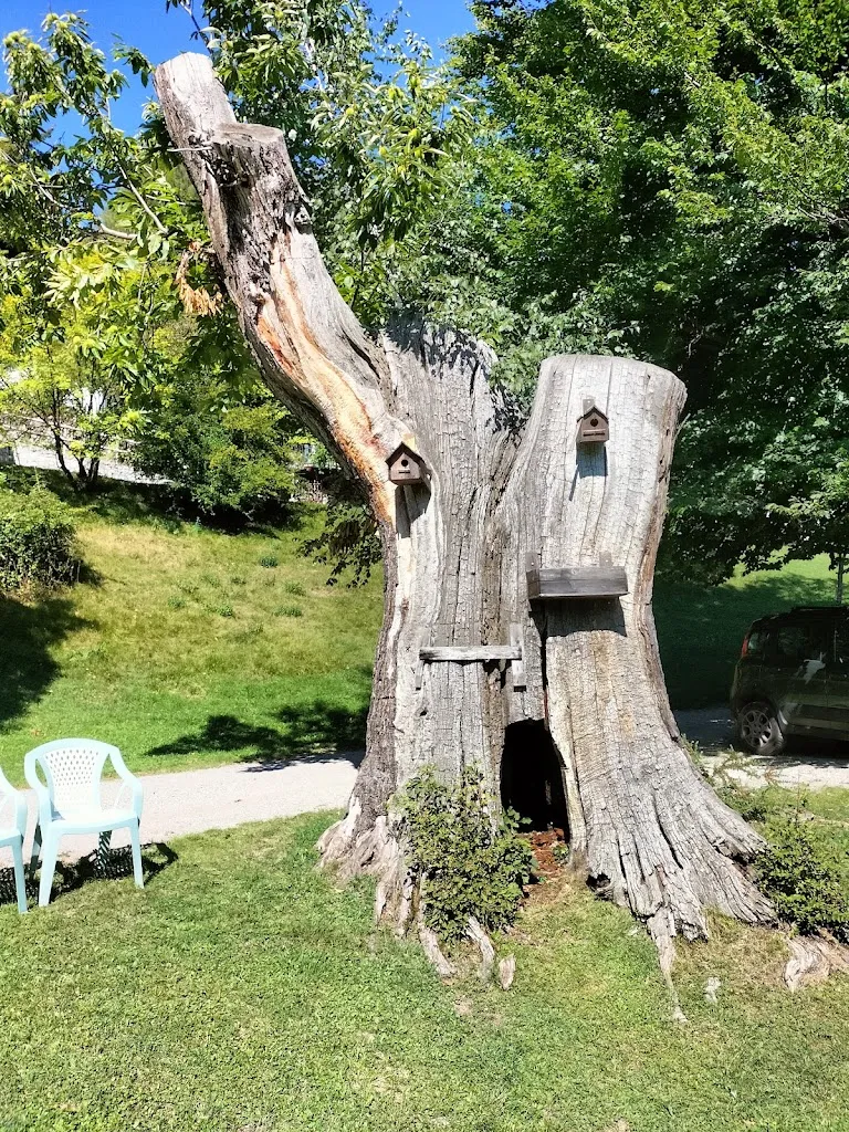 Crotto Da Gusto_Carlazzo_slider_image_3