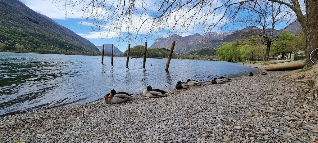 Ristorante Bellavista_Carlazzo_slider_image_3