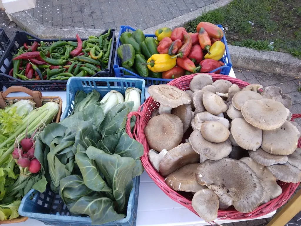 Menu_Agri Chiosco_Acquaviva delle Fonti_image_4