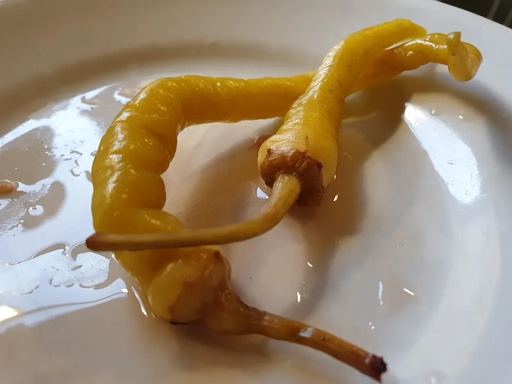 Menu_Agriturismo da Santino_Carugo_image_8