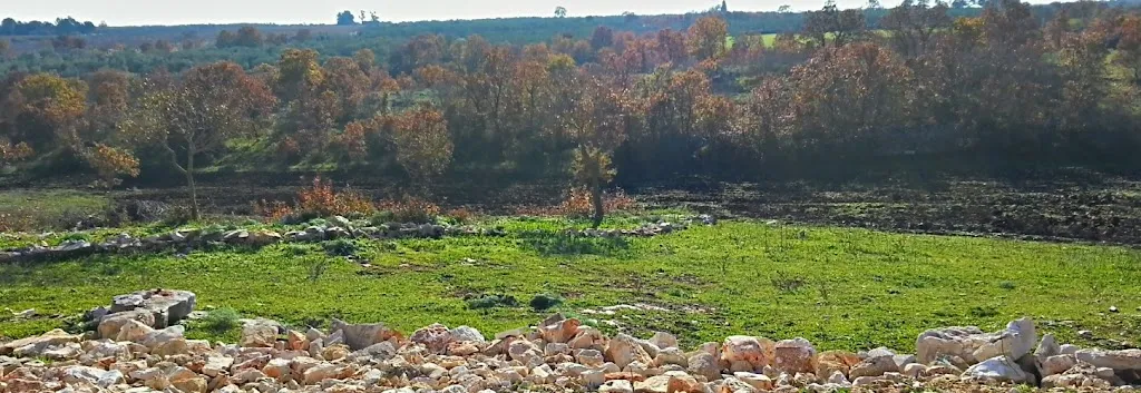 Masseria dell'artista_Acquaviva delle Fonti_slider_image_3